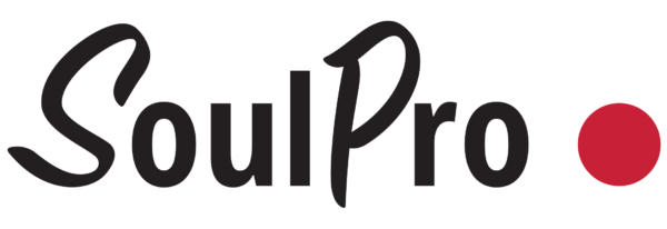 soulpro hankintatoiminnan johtamisjärjestelmä logo